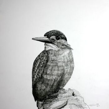 Disegno intitolato "IJsvogel" da Tamas Herczeg, Opera d'arte originale, Inchiostro