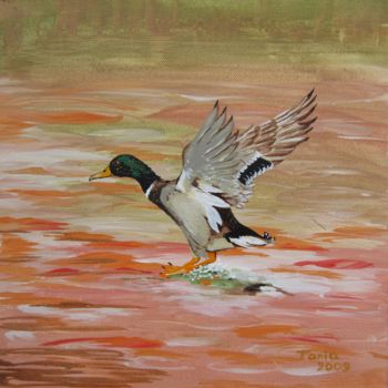Painting titled "Canard en vol" by Tania Ohse, Original Artwork, Acrylic