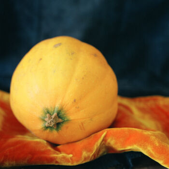 Fotografía titulada "Melon" por Tania Serket, Obra de arte original, Fotografía analógica