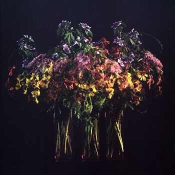 Fotografia intitulada "Mixed colors of flo…" por Tania Serket, Obras de arte originais, Fotografia de filme