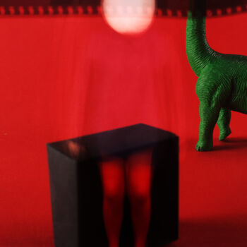 Fotografía titulada "Red light" por Tania Serket, Obra de arte original, Fotografía digital