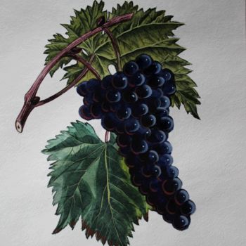 Painting titled "Grapes" by Tanya Firn, Original Artwork, Watercolor