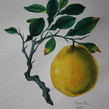 Painting titled "Lemon" by Tanya Firn, Original Artwork, Watercolor