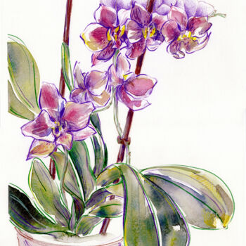 Painting titled "Blooming orchid" by Tanya Sviatlichnaya, Original Artwork, Watercolor