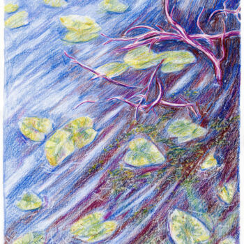 Disegno intitolato "Floating Water Lili…" da Tanya Sviatlichnaya, Opera d'arte originale, Matite colorate