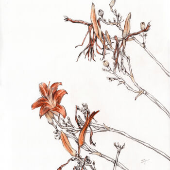 Rysunek zatytułowany „Outgoing Lilies of…” autorstwa Tanya Sviatlichnaya, Oryginalna praca, Conté