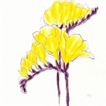Drawing titled "Yellow Freesia 02" by Tanya Sviatlichnaya, Original Artwork, Pastel
