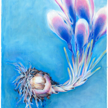 Картина под названием "Rethinking Botany:…" - Tanya Sviatlichnaya, Подлинное произведение искусства, Цветные карандаши