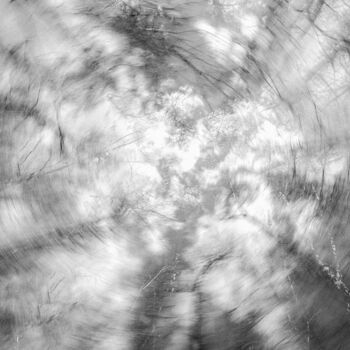 Фотография под названием "Stillness speaks 8" - Alexander Tarasenkov, Подлинное произведение искусства, Цифровая фотография