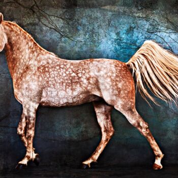 Fotografía titulada "Pegasus" por Tariq Dajani, Obra de arte original, Fotografía digital