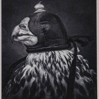 Fotografia intitulada "Saker, hooded hunti…" por Tariq Dajani, Obras de arte originais, Fotografia digital