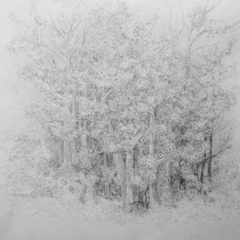 Dessin intitulée "Etude de forêt au c…" par Tassanie All, Œuvre d'art originale, Crayon