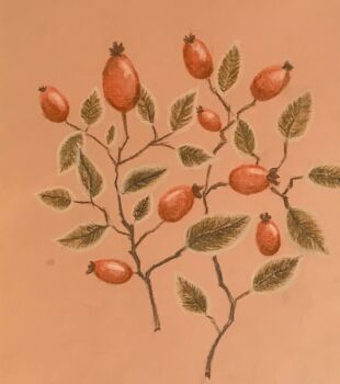 Рисунок под названием "ягоды шиповника" - Tatiana Iovleva, Подлинное произведение искусства, Пастель