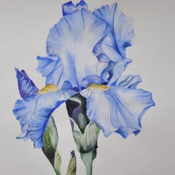 Картина под названием "Синий ирис" - Татьяна Москаленко, Подлинное произведение искусства, Акварель