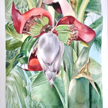 Картина под названием "Цветок банана" - Татьяна Москаленко, Подлинное произведение искусства, Акварель