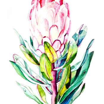 Painting titled "Protea" by Tatiana Repesciuc, Original Artwork, Watercolor