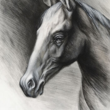 Pittura intitolato "Horse portrait" da Tatiana Zhuravleva, Opera d'arte originale, Olio