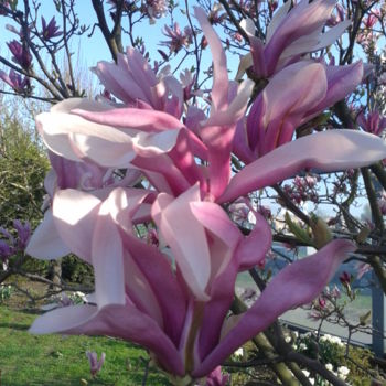 Fotografia zatytułowany „Spring in London.Ве…” autorstwa Tatjana Barova, Oryginalna praca