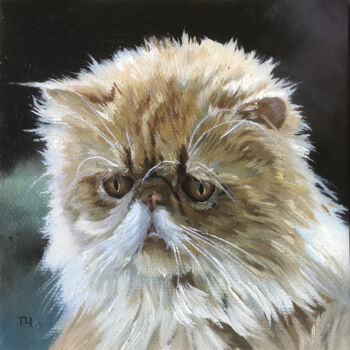 Peinture intitulée "Persian kitten" par Tatjana Cechun, Œuvre d'art originale, Huile