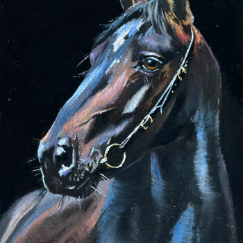 Painting titled "Black horse. Murges…" by Tatjana Cechun, Original Artwork, Oil Mounted on Cardboard