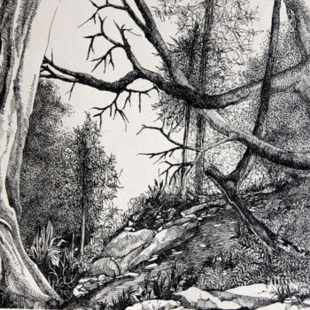 Dessin intitulée "Wald" par Tatjana M. Pankau, Œuvre d'art originale, Encre