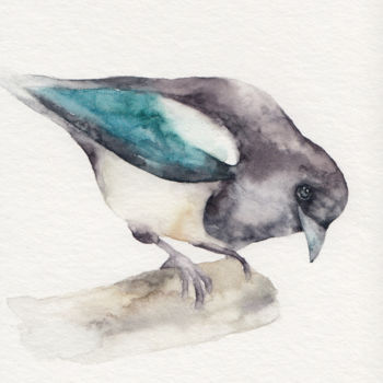 Painting titled "Elster Vogel, Origi…" by Delicate Aesthetic, Original Artwork, Watercolor