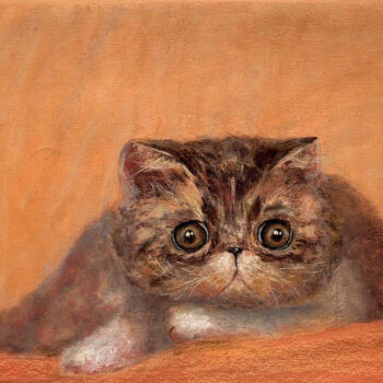 Картина под названием "EXOTIC CAT - kitten…" - Tatsiana Ilyina, Подлинное произведение искусства, Пастель