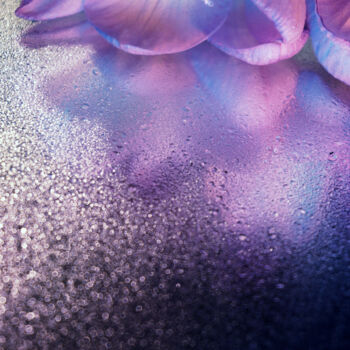 Photographie intitulée "Violet mood" par Tatyana Laer, Œuvre d'art originale, Photographie numérique