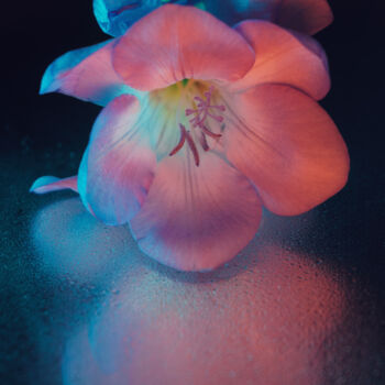 Fotografia intitulada "Colors of night" por Tatyana Laer, Obras de arte originais, Fotografia digital
