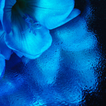 Photography titled "Blue mood" by Tatyana Laer, Original Artwork, Digital Photography