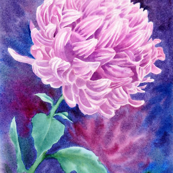 Картина под названием "purple chrysanthemum" - Tatyana Pustovit, Подлинное произведение искусства, Акварель