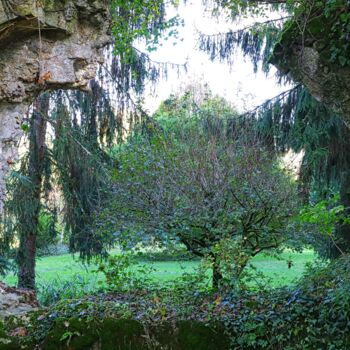 Fotografía titulada "Vue sur le jardin" por Tc.Photographie, Obra de arte original, Fotografía digital