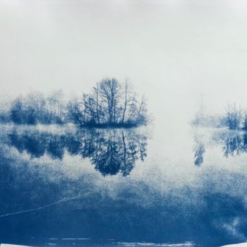 Photographie intitulée "Marais dans la brume" par Thomas Reveau, Œuvre d'art originale, Photographie argentique