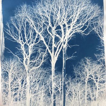 Photography titled "trees" by Thomas Reveau, Original Artwork, Analog photography