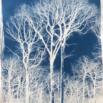 Photographie intitulée "trees" par Thomas Reveau, Œuvre d'art originale, Photographie argentique