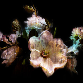 Digital Arts με τίτλο "Tehos - White Flowe…" από Tehos, Αυθεντικά έργα τέχνης, Άλλος