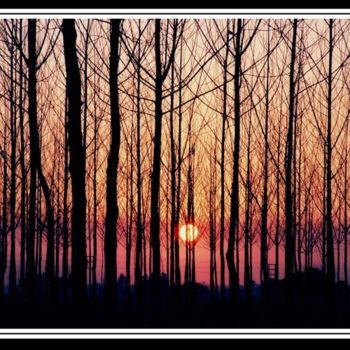 Photography titled "Sunset" by Tejbir Sandhu, Original Artwork
