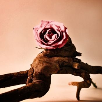 Fotografia intitolato "rose" da Loreta Teodorova, Opera d'arte originale