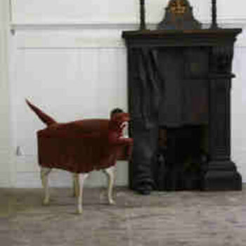 Γλυπτική με τίτλο "Dog-stool and MANtl…" από Teresa Mills, Αυθεντικά έργα τέχνης
