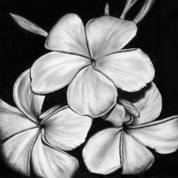 Drawing titled "Plumeria" by Teresa Payne Art, Original Artwork, Charcoal Mounted on Other rigid panel
