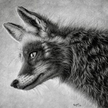 Dessin intitulée "Fox" par Teresa Payne Art, Œuvre d'art originale, Fusain