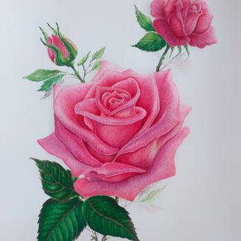 Pittura intitolato "Rose" da Tetiana Vlasenko, Opera d'arte originale, Acquarello