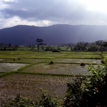 Photography titled "Cagayan Province" by Tetsuya Endo, Original Artwork, Analog photography