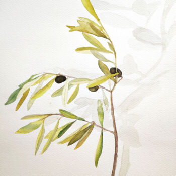 Painting titled "Olive Branch" by Tetyana Levchuk, Original Artwork, Watercolor