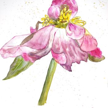 Painting titled "Blooming peony flow…" by Tetyana Levchuk, Original Artwork, Watercolor
