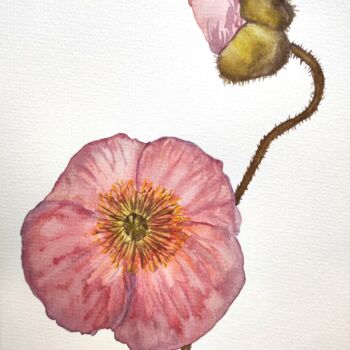 Painting titled "Poppies" by Tetyana Levchuk, Original Artwork, Watercolor