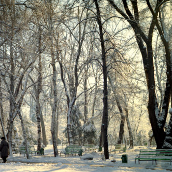 Fotografie getiteld "Winter in the park" door Tudor Gafton, Origineel Kunstwerk, Film fotografie