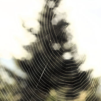 Photography titled "web" by Tudor Gafton, Original Artwork, Digital Photography