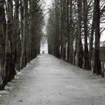 Photographie intitulée "November 1" par Tudor Gafton, Œuvre d'art originale, Photographie argentique