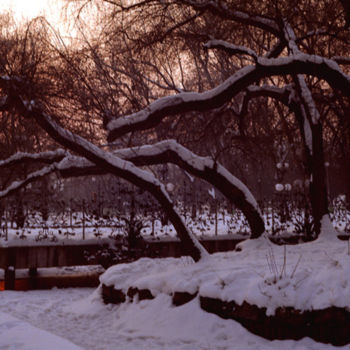 Photography titled "Winter scene 1" by Tudor Gafton, Original Artwork, Analog photography